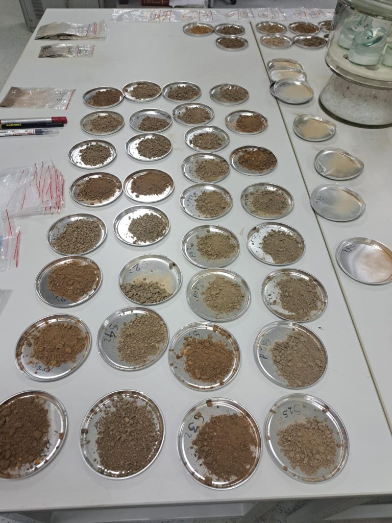 December is the month of experiments